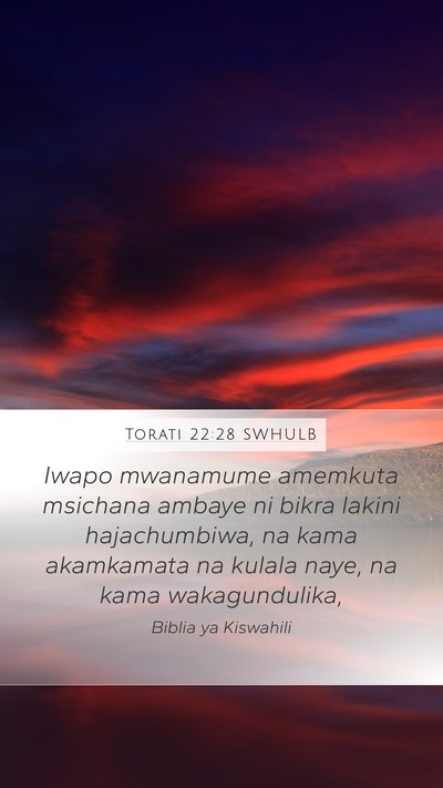 Torati 22:28 SWHULB Bible Verse Image