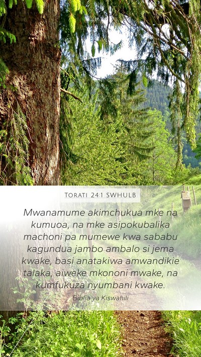 Torati 24:1 SWHULB Bible Verse Image