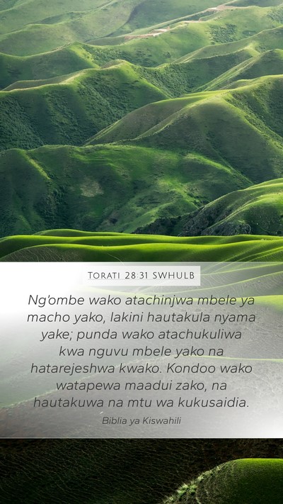 Torati 28:31 SWHULB Bible Verse Image