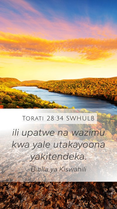 Torati 28:34 SWHULB Bible Verse Image