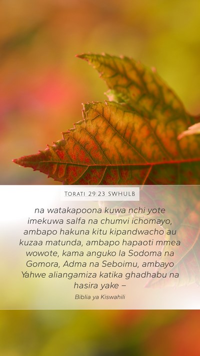 Torati 29:23 SWHULB Bible Verse Image