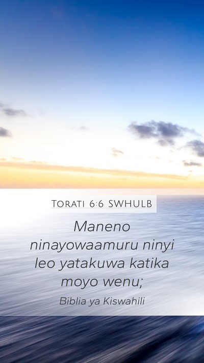 Torati 6:6 SWHULB Bible Verse Image