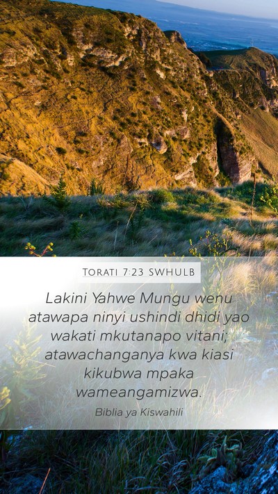 Torati 7:23 SWHULB Bible Verse Image