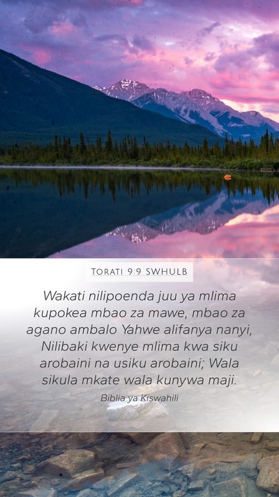 Torati 9:9 SWHULB Bible Verse Image