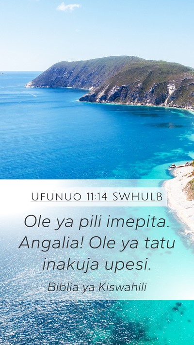 Ufunuo 11:14 SWHULB Bible Verse Image