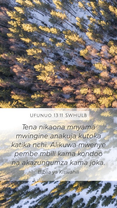 Ufunuo 13:11 SWHULB Bible Verse Image