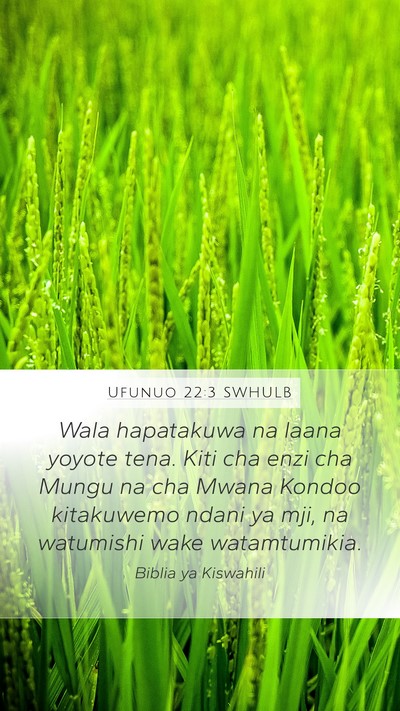 Ufunuo 22:3 SWHULB Bible Verse Image