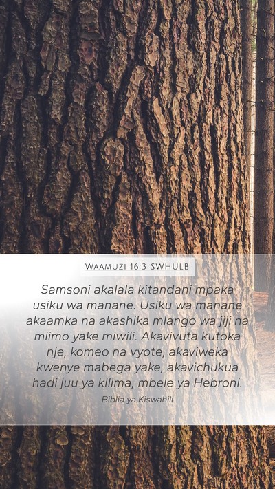 Waamuzi 16:3 SWHULB Bible Verse Image
