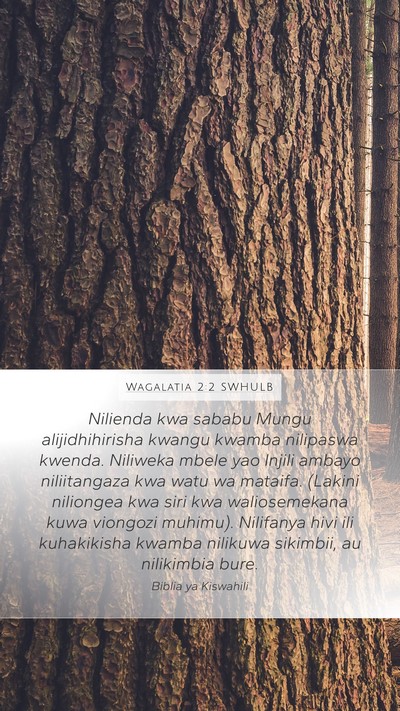 Wagalatia 2:2 SWHULB Bible Verse Image