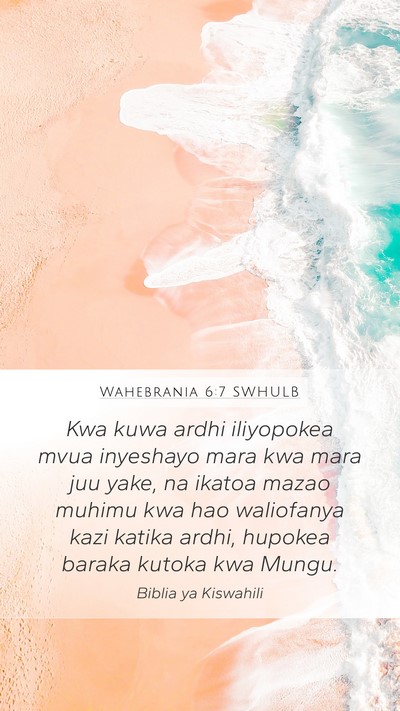 Wahebrania 6:7 SWHULB Bible Verse Image