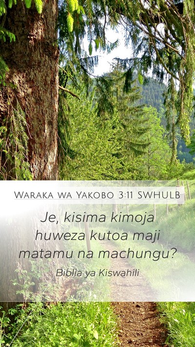 Waraka wa Yakobo 3:11 SWHULB Mobile Phone Wallpaper - Je, kisima kimoja huweza kutoa maji matamu na - Mobile Bible Verse Wallpaper