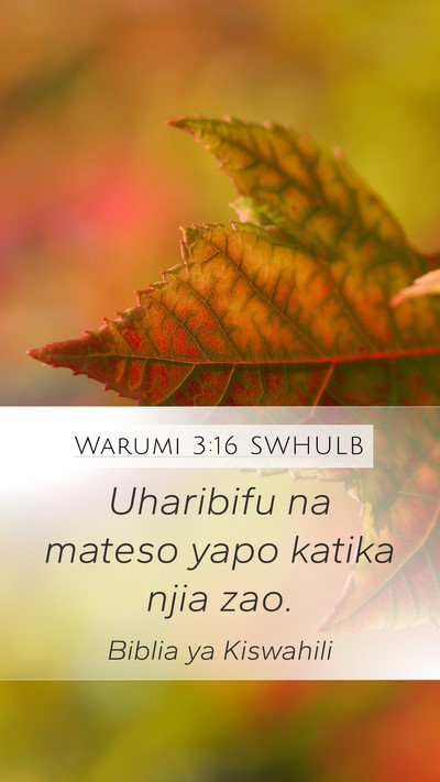 Warumi 3:16 SWHULB Bible Verse Image