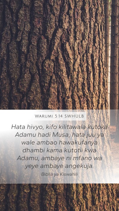 Warumi 5:14 SWHULB Bible Verse Image