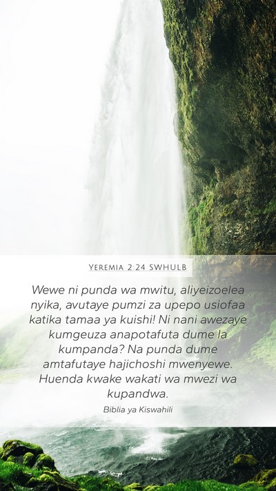 Yeremia 2:24 SWHULB Bible Verse Image
