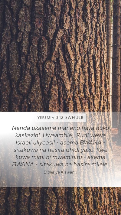 Yeremia 3:12 SWHULB Bible Verse Image