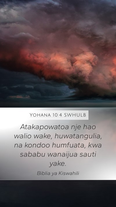 Yohana 10:4 SWHULB Mobile Phone Wallpaper - Atakapowatoa nje hao walio wake, huwatangulia, na - Mobile Bible Verse Wallpaper