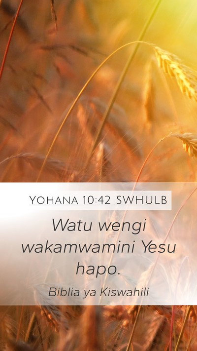 Yohana 10:42 SWHULB Mobile Phone Wallpaper - Watu wengi wakamwamini Yesu - Mobile Bible Verse Wallpaper