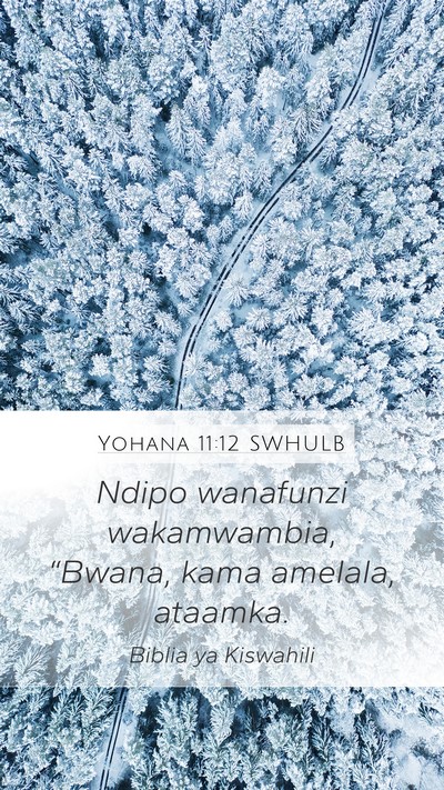 Yohana 11:12 SWHULB Mobile Phone Wallpaper - Ndipo wanafunzi wakamwambia, “Bwana, kama - Mobile Bible Verse Wallpaper