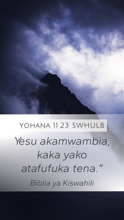 Yohana 11:23 SWHULB Mobile Phone Wallpaper - Yesu akamwambia, kaka yako atafufuka - Mobile Bible Verse Wallpaper