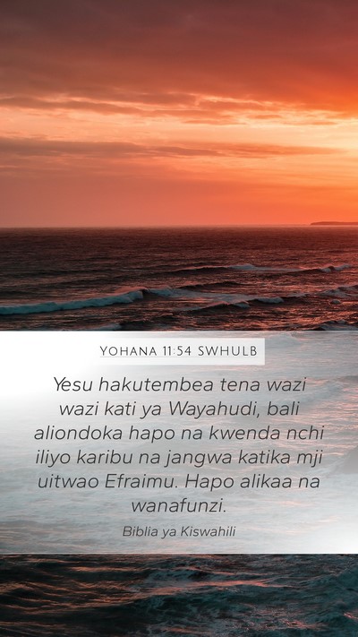 Yohana 11:54 SWHULB Bible Verse Image