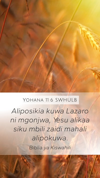 Yohana 11:6 SWHULB Bible Verse Image