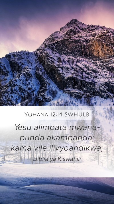 Yohana 12:14 SWHULB Bible Verse Image