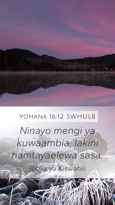 Yohana 16:12 SWHULB Mobile Phone Wallpaper - Ninayo mengi ya kuwaambia, lakini hamtayaelewa - Mobile Bible Verse Wallpaper