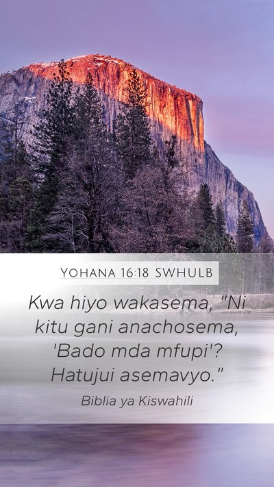 Yohana 16:18 SWHULB Mobile Phone Wallpaper - Kwa hiyo wakasema, “Ni kitu gani anachosema, - Mobile Bible Verse Wallpaper
