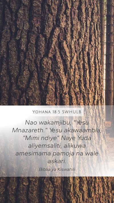 Yohana 18:5 SWHULB Bible Verse Image
