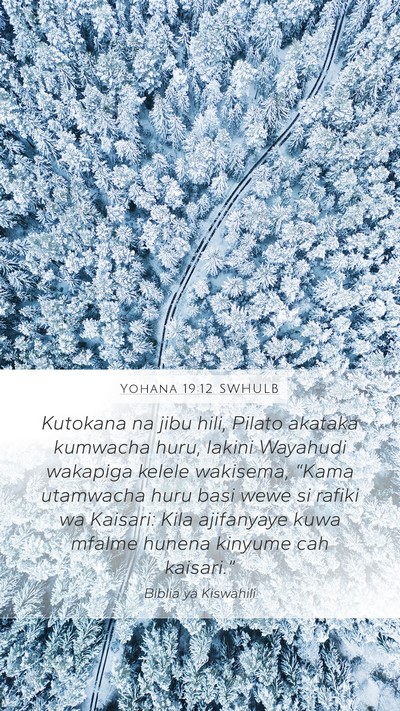 Yohana 19:12 SWHULB Bible Verse Image
