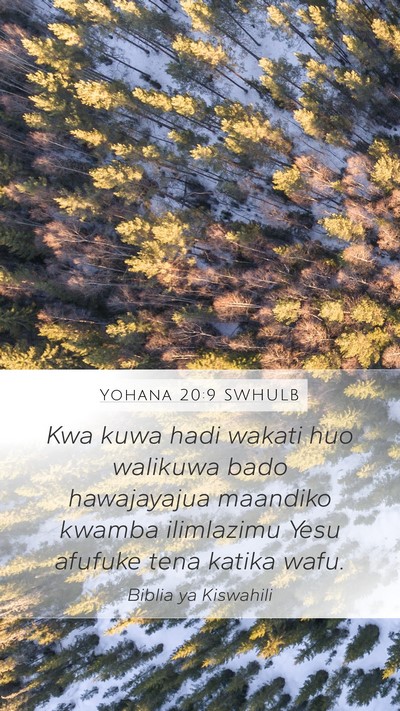 Yohana 20:9 SWHULB Mobile Phone Wallpaper - Kwa kuwa hadi wakati huo walikuwa bado - Mobile Bible Verse Wallpaper