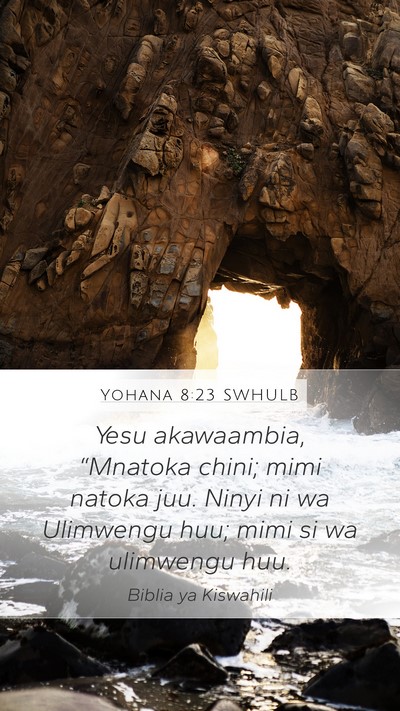 Yohana 8:23 SWHULB Bible Verse Image