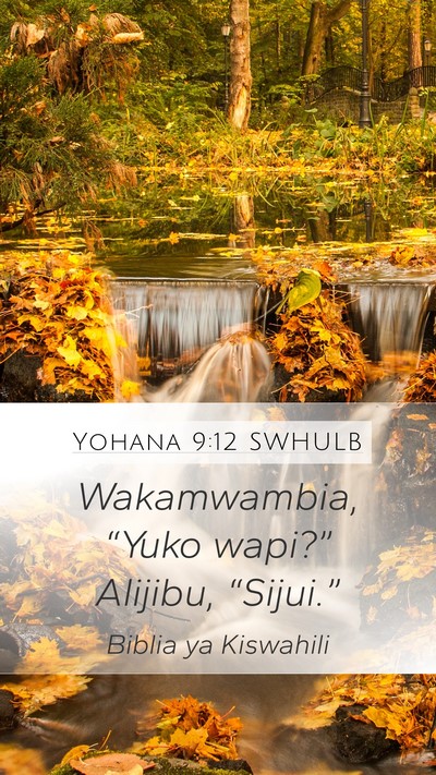 Yohana 9:12 SWHULB Mobile Phone Wallpaper - Wakamwambia, “Yuko wapi?” Alijibu, - Mobile Bible Verse Wallpaper