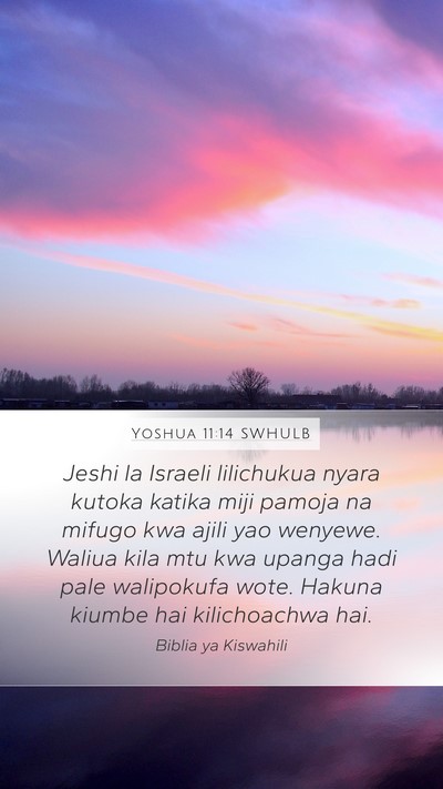 Yoshua 11:14 SWHULB Bible Verse Image