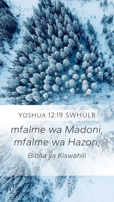 Yoshua 12:19 SWHULB Bible Verse Image