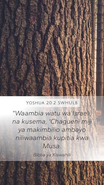 Yoshua 20:2 SWHULB Bible Verse Image