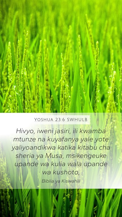Yoshua 23:6 SWHULB Bible Verse Image