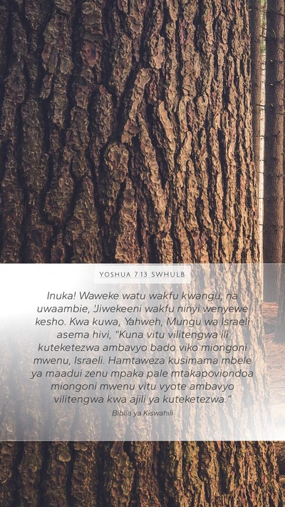 Yoshua 7:13 SWHULB Bible Verse Image