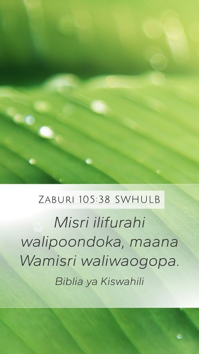 Zaburi 105:38 SWHULB Mobile Phone Wallpaper - Misri ilifurahi walipoondoka, maana Wamisri - Mobile Bible Verse Wallpaper