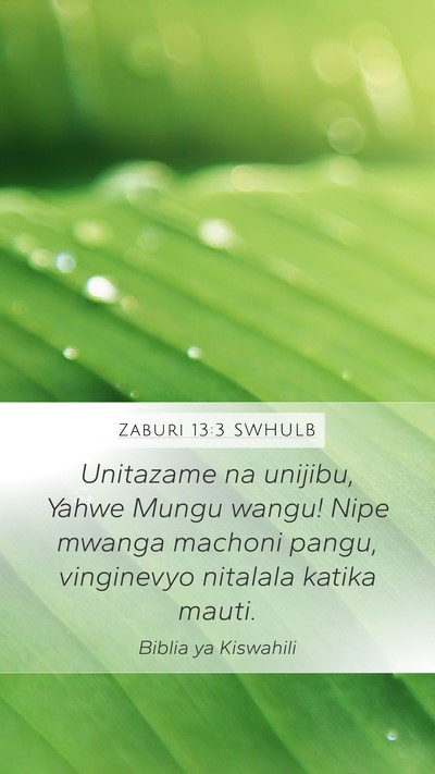 Zaburi 13:3 SWHULB Bible Verse Image