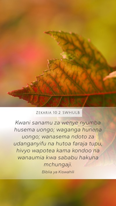 Zekaria 10:2 SWHULB Bible Verse Image