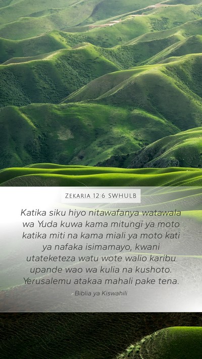 Zekaria 12:6 SWHULB Bible Verse Image